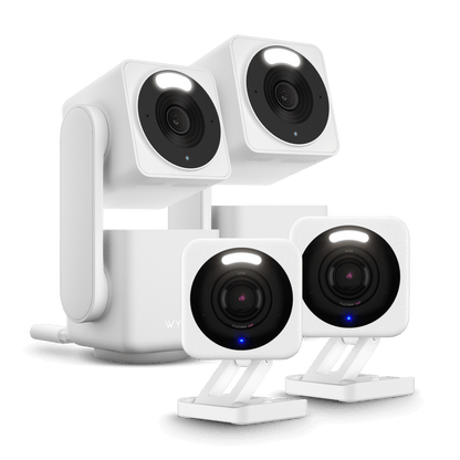 Small Business Monitoring Plus