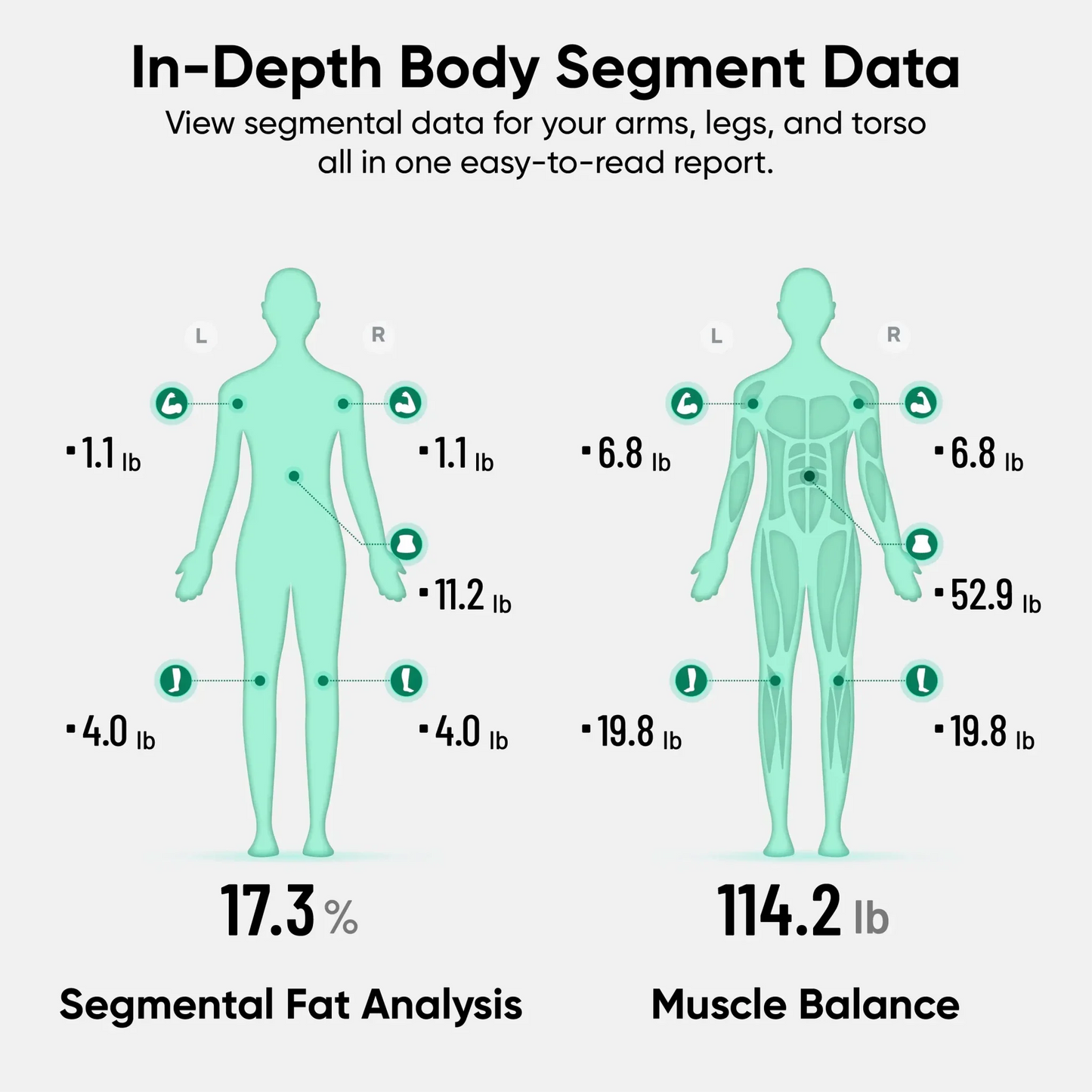 Wyze Scale BodyScan